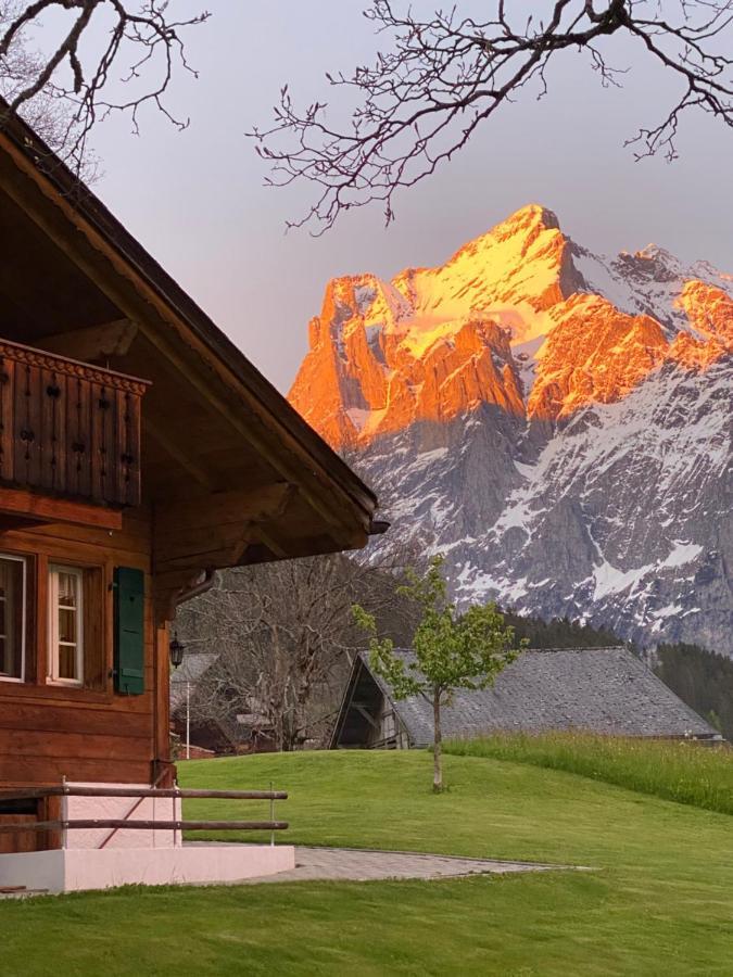 Chalet Herrschaft Гриндельвальд Экстерьер фото