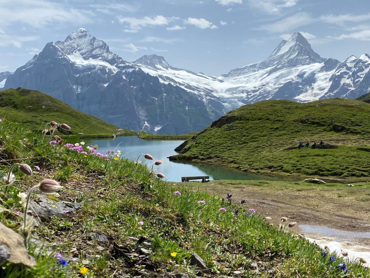 Chalet Herrschaft Гриндельвальд Экстерьер фото