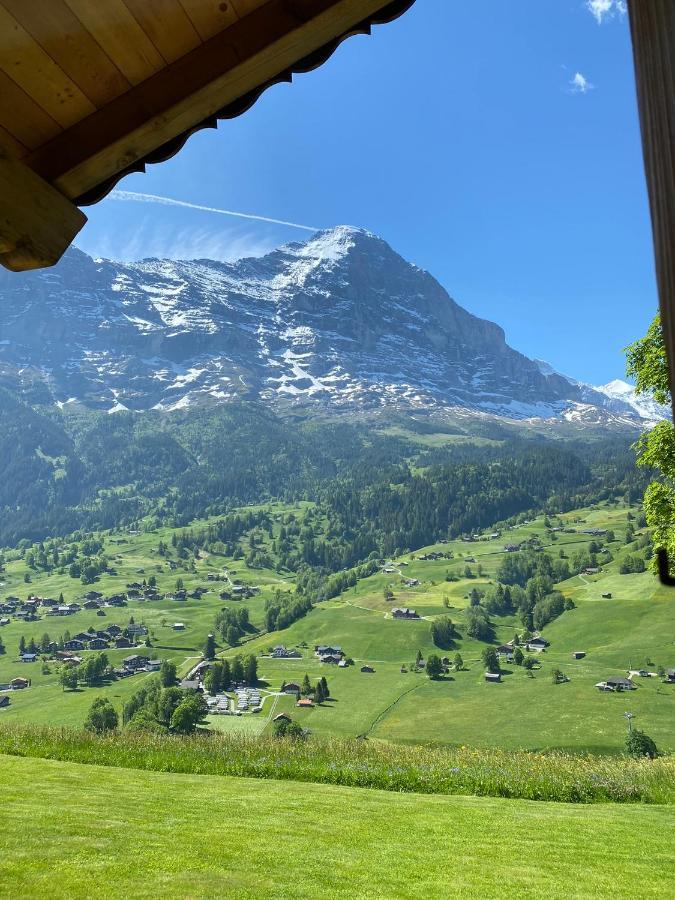 Chalet Herrschaft Гриндельвальд Экстерьер фото