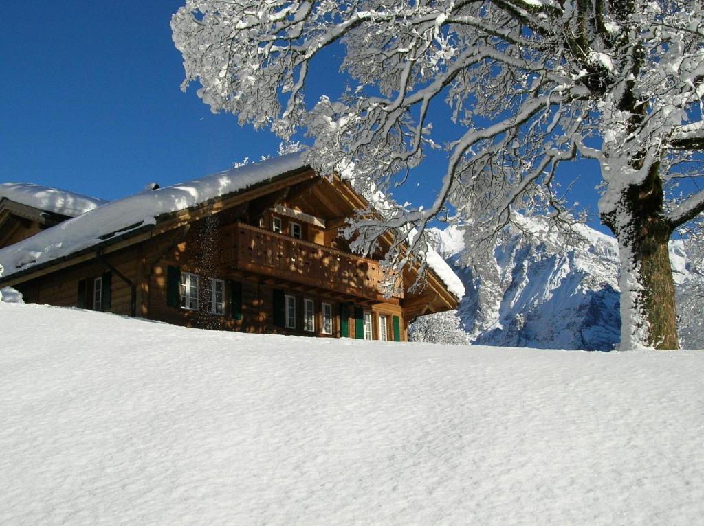 Chalet Herrschaft Гриндельвальд Экстерьер фото